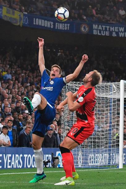 将为这项古 将为这项古