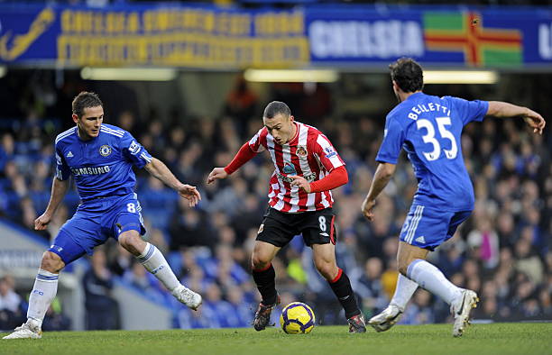 不仅主导了 不仅主导了